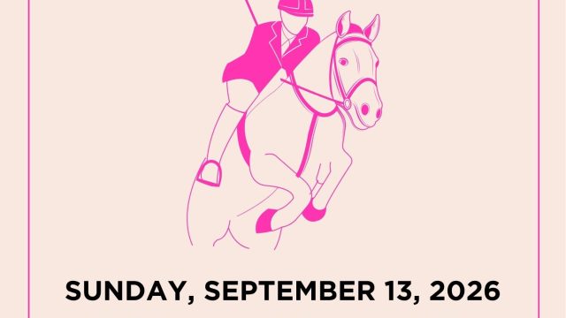 Picnic and Ponies