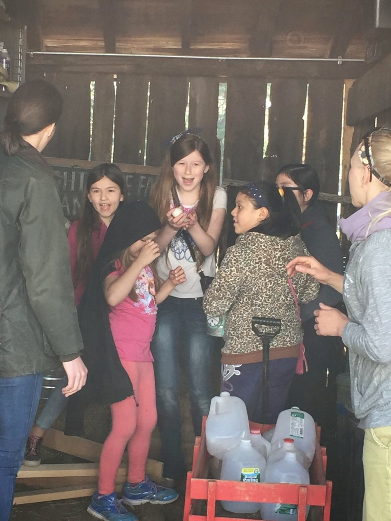 The young women of Kids in the Kitchen harvesting eggs 